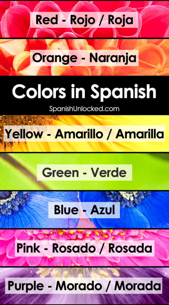 Colors in Spanish los colores