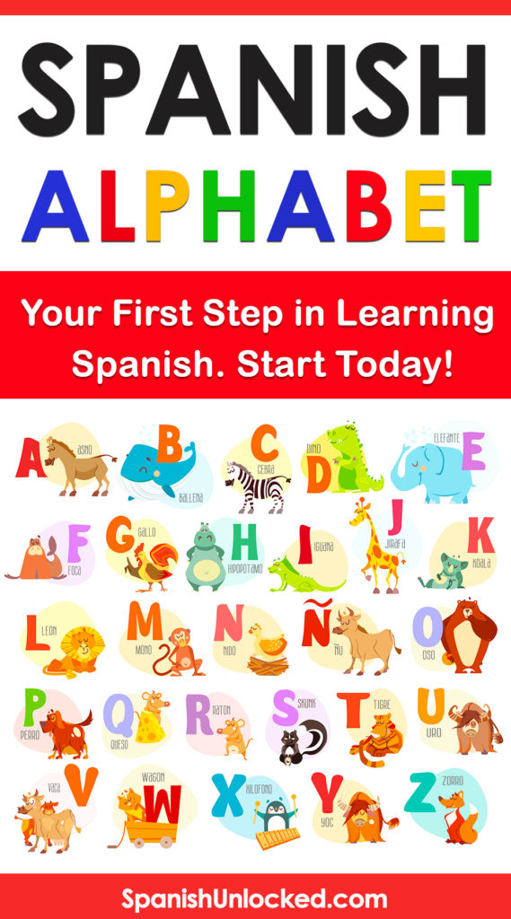 The Spanish Alphabet alfabeto espanol